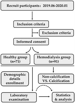 Serum HDL-C subfractions as predictors of cardiovascular calcification in hemodialysis patients: novel insights and clinical implications